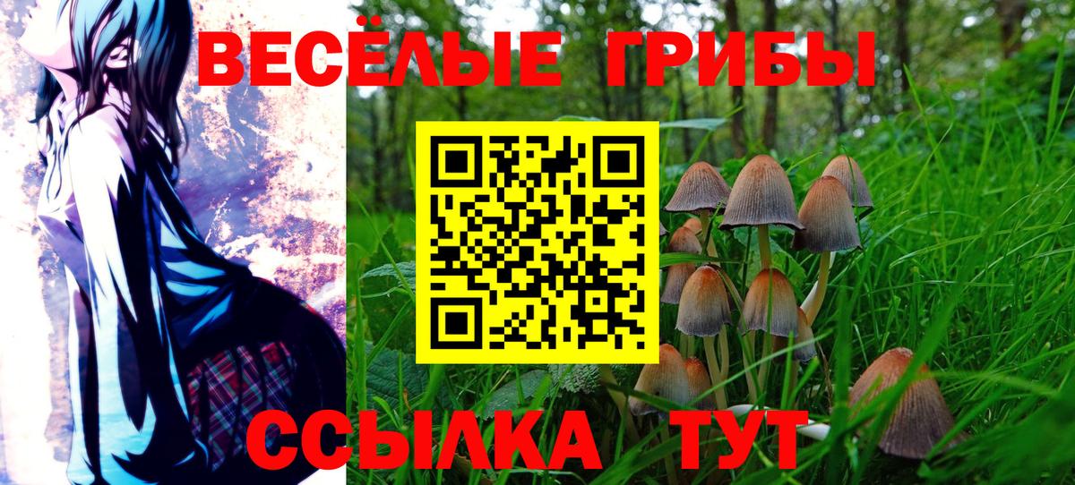 Псилоцибиновые грибы Psilocybine cubensis  Галлюциногенные грибы Psilocybe  Вход с VPN  Кубинка 